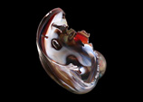 Image of Work by Artist Marty Kaufman
