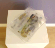 Image of Work by Artist Catharine Newell