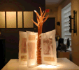 Image of Work by Artist Elizabeth Mears