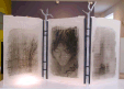Image of Work by Artist Elizabeth Mears