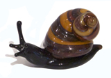 Image of Work by Artist Margaret Neher